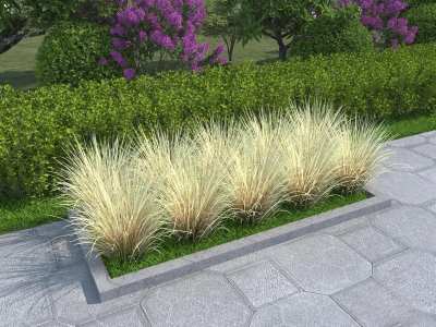 植物3D模型下载